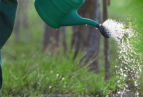  Perez Landscaping and tree service in riverside ca